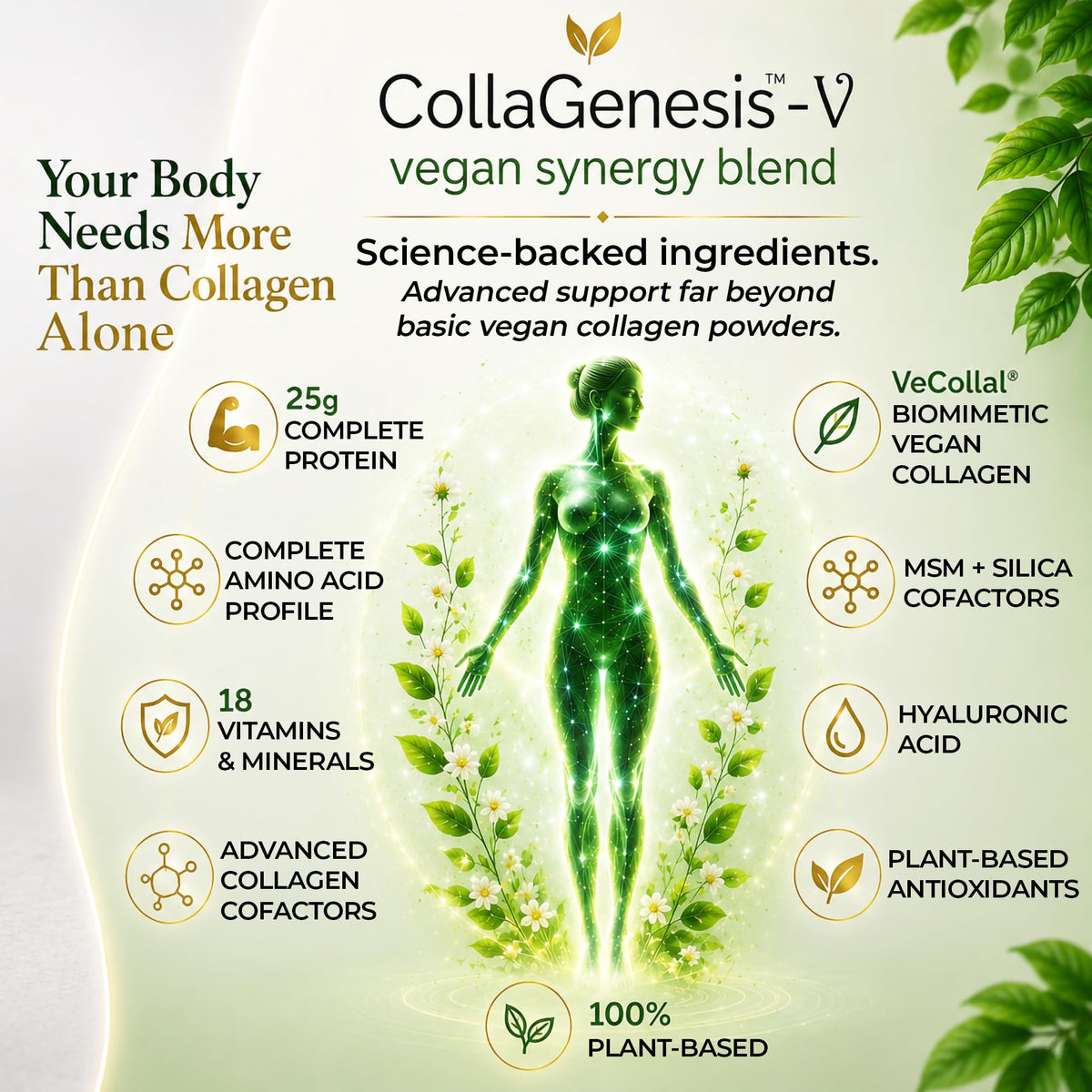 CollaGenesis™-V avec fruits dans un smoothie