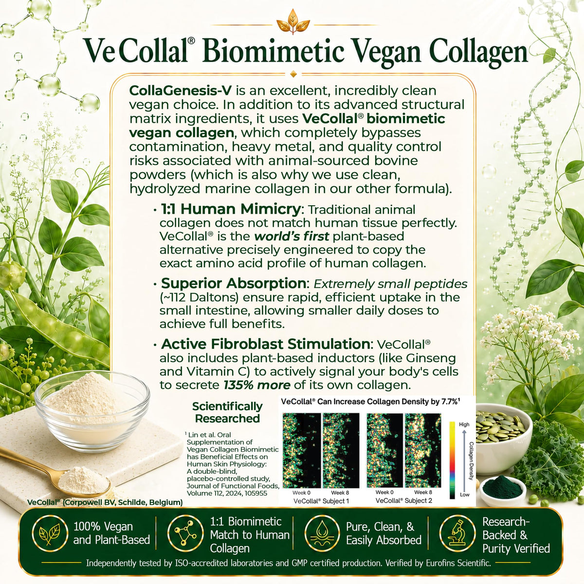 CollaGenesis™-V vue arrière du paquet