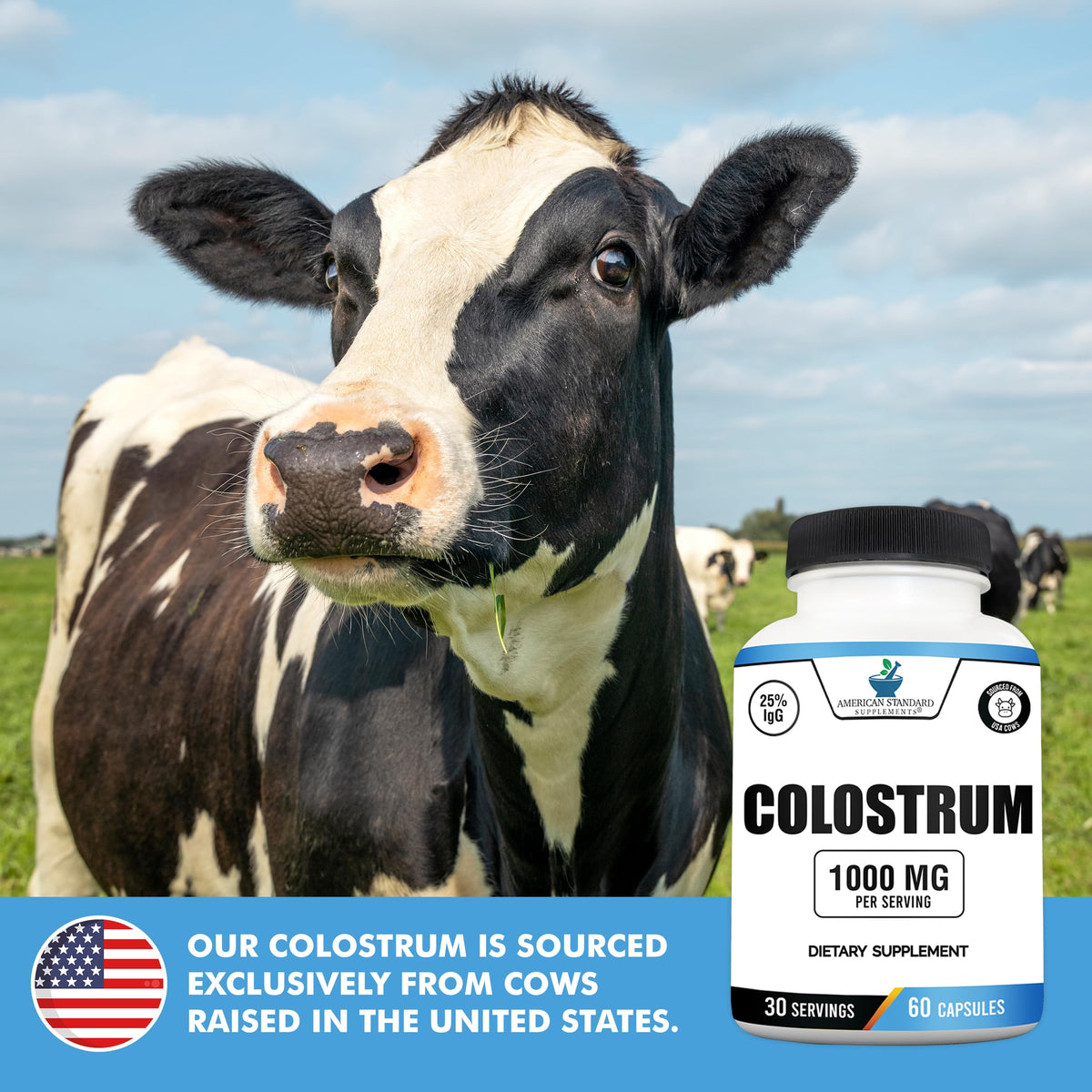 Colostrum American Standard Supplements, 1000mg par portion