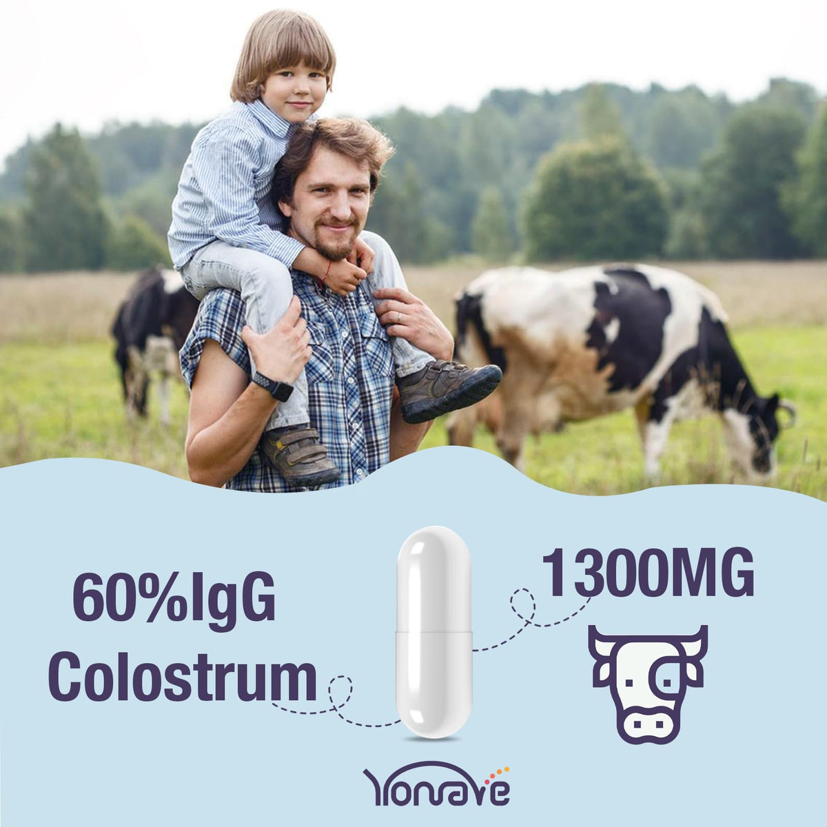 Colostrum bovin Yonrave en capsules sur une table