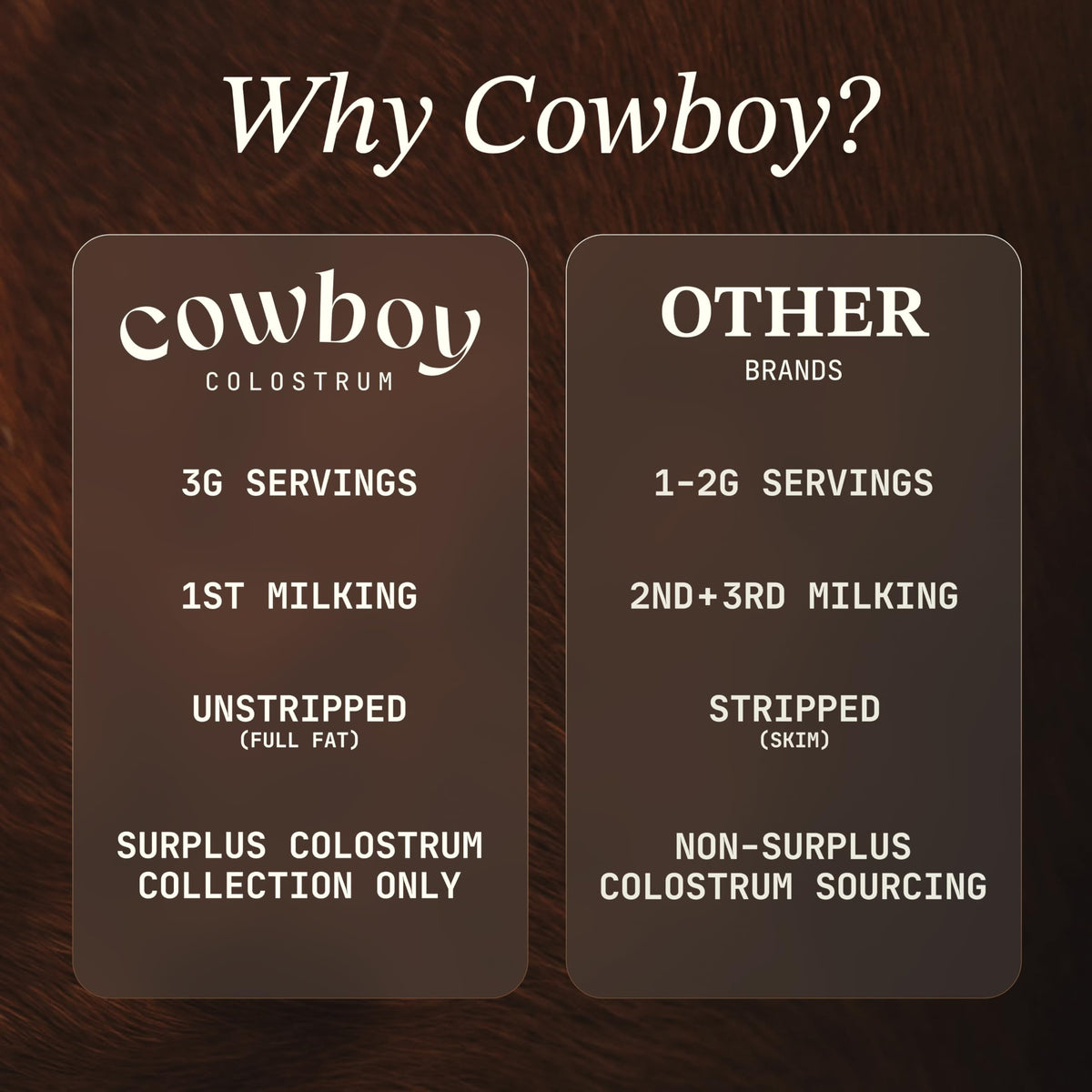 Colostrum COWBOY COLOSTRUM en poudre dans un verre d'eau