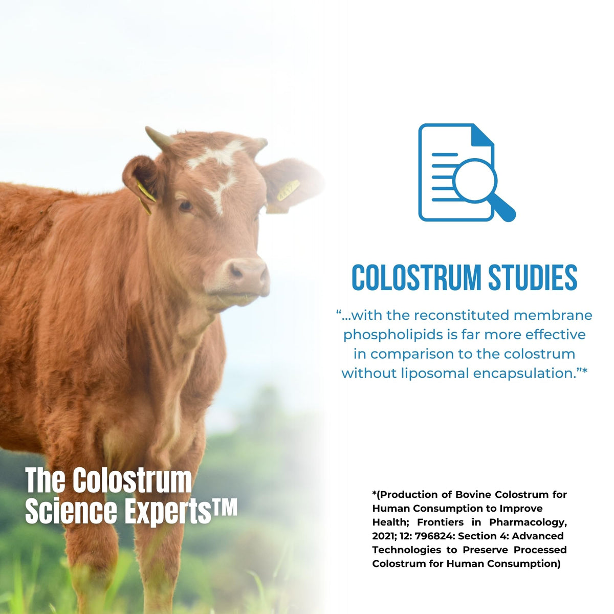 Colostrum-LD Poudre de Colostrum Liposomal 12oz Vanille en poudre