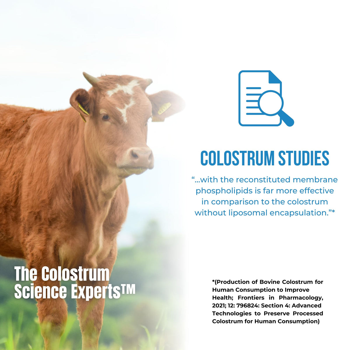 Colostrum-LD Poudre de Colostrum Liposomal 472g en utilisation