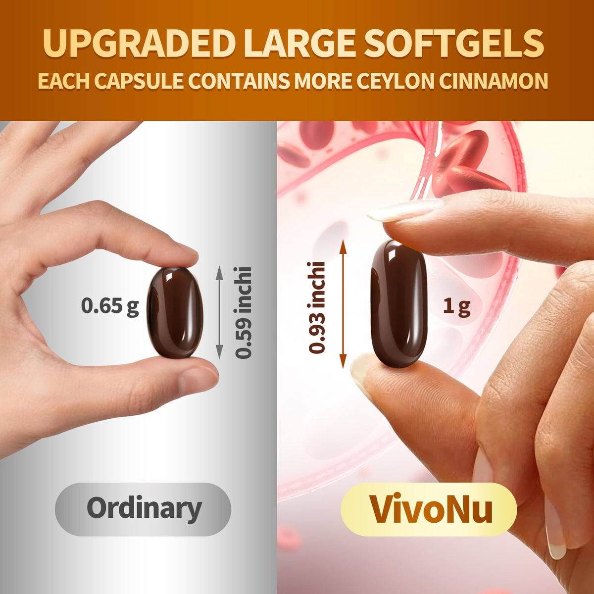 Comparaison de gélules de cannelle Ceylan bio et gélules standard