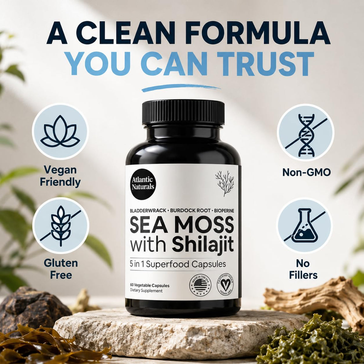 Comparaison des capsules Atlantic Naturals avec d'autres compléments