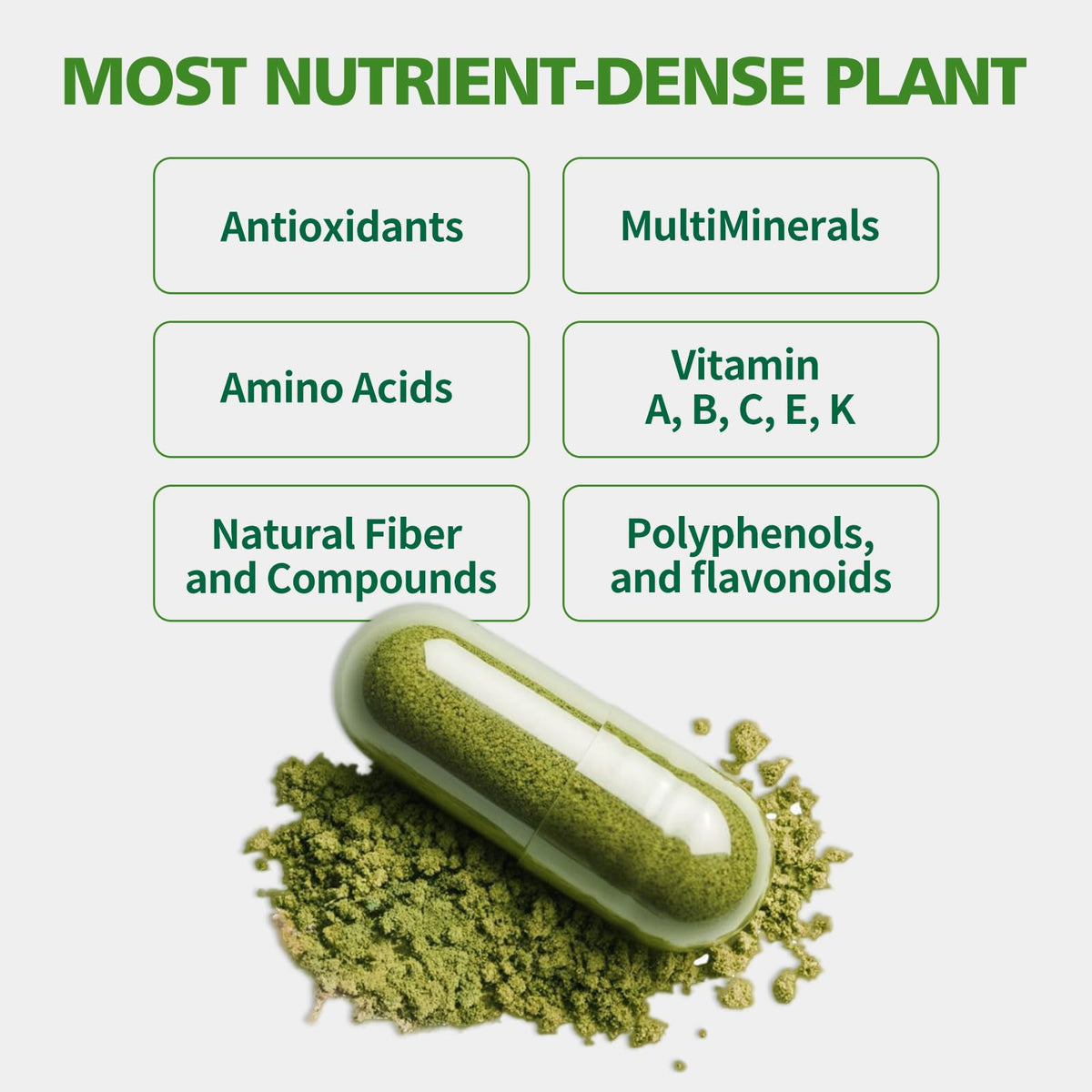 Comparaison des capsules de Moringa KangRiXin avec d'autres suppléments
