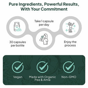 Comparaison des capsules Fer Végétal avec d'autres compléments alimentaires