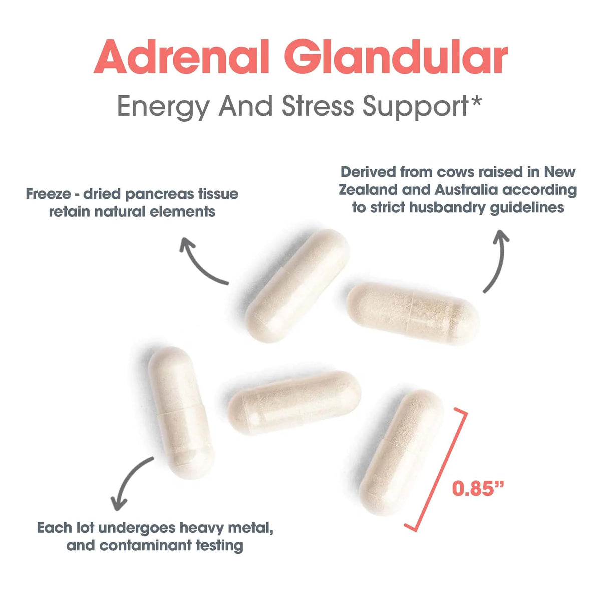Complément alimentaire Allergy Research Group Adrenal Cortex, flacon ouvert