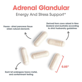 Complément alimentaire Allergy Research Group Adrenal Cortex, flacon ouvert