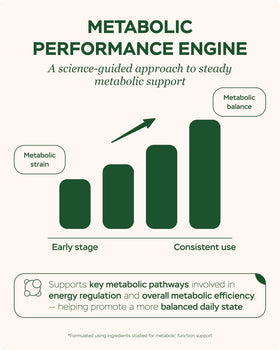 Complément alimentaire Berbérine 4Well Products avec des ingrédients naturels