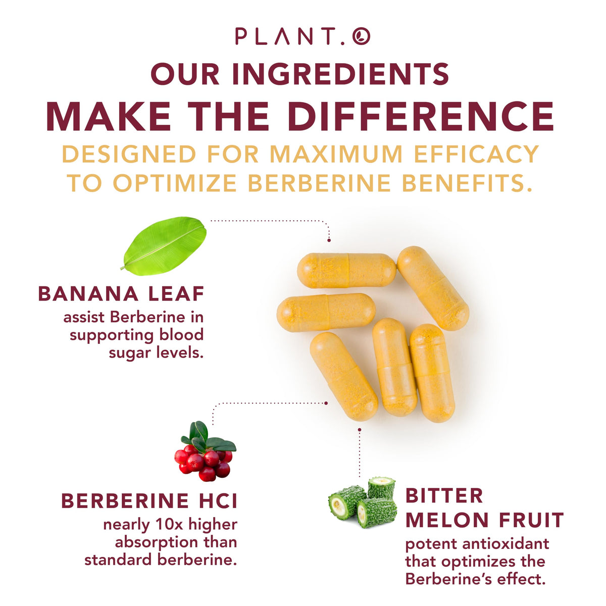 Complément alimentaire Berbérine PLANT.O NUTRITION avec des ingrédients naturels