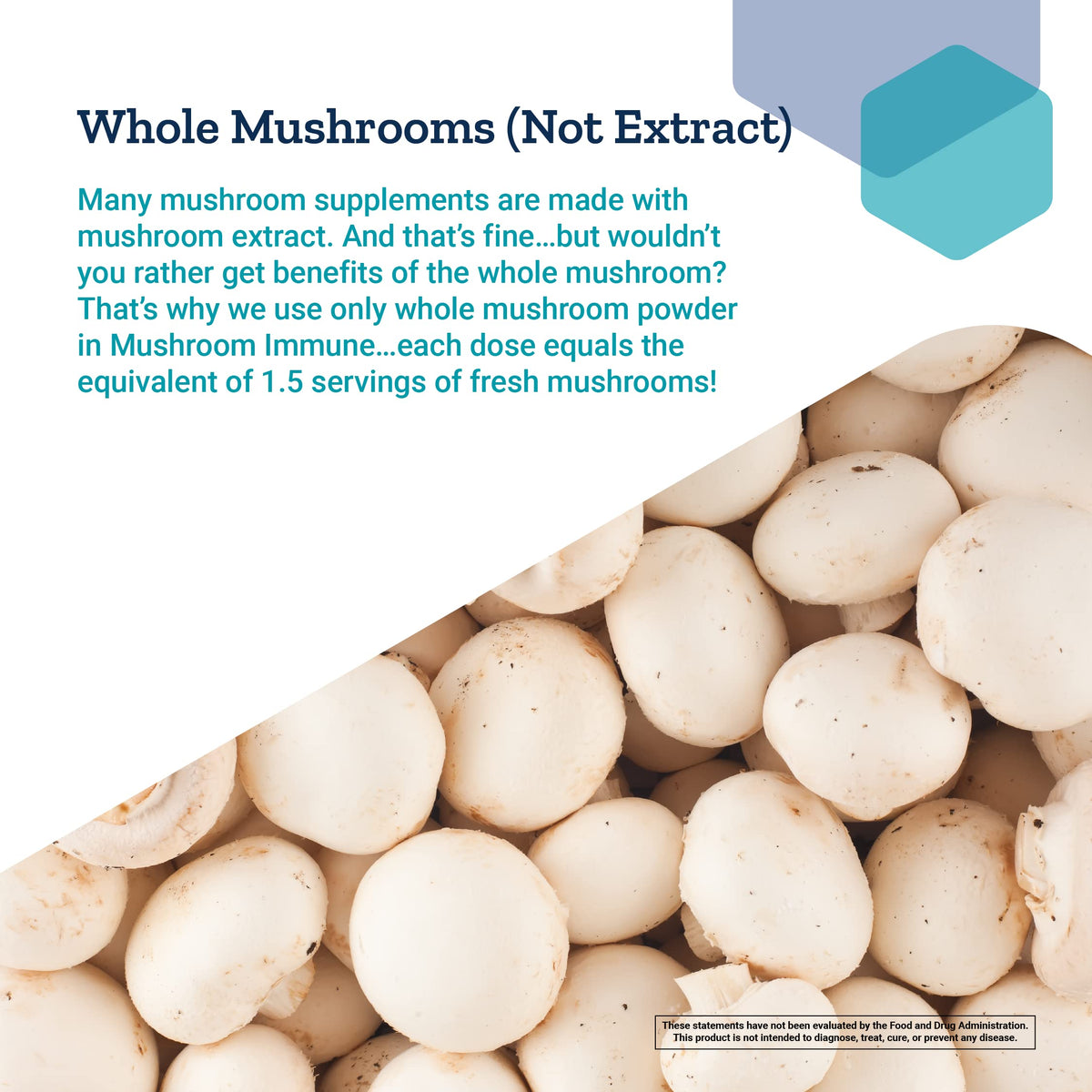 Complément alimentaire Champignon Life Extension avec champignons en arrière-plan