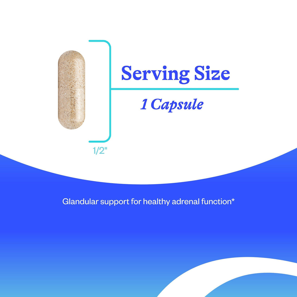 Complément Alimentaire Cortex Surrénal Seeking Health 50 mg - 60 Capsules sur fond blanc