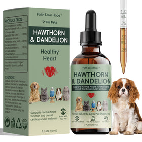 Complément alimentaire Hawthorn 66g pour chiens de Faith Love Hope