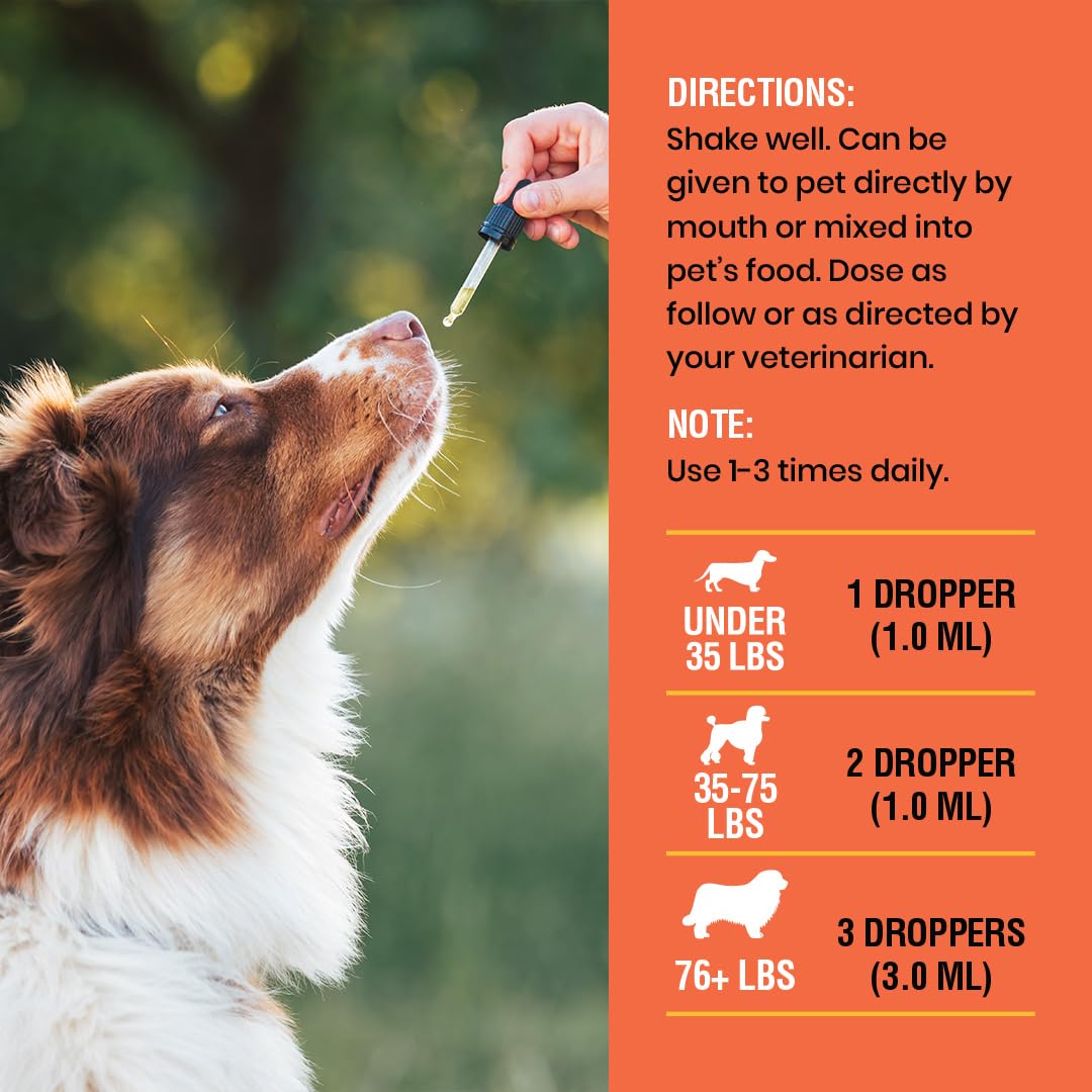 Complément alimentaire liquide à la vitamine C pour chiens avec une cuillère doseuse