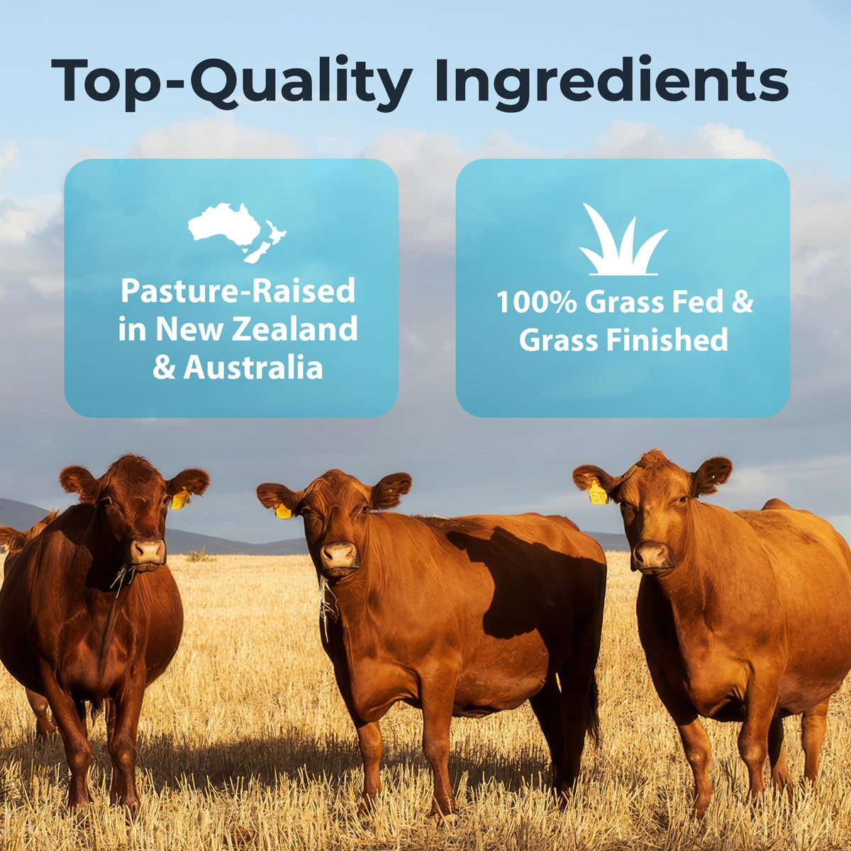 Complément Alimentaire Organes de Boeuf Ultimate avec ingrédients naturels