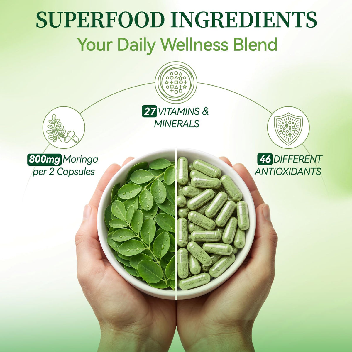 Complément alimentaire Polvaritho Moringa, capsules ouvertes montrant la poudre