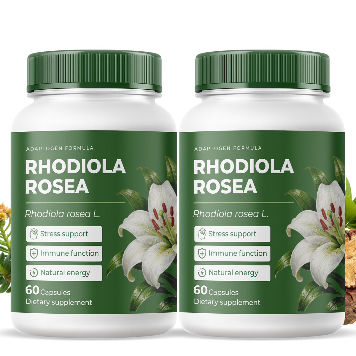 Complément alimentaire Rhodiola Rosea de NOQONME, vue de face