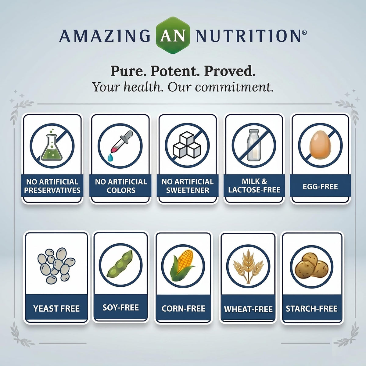Complément Alimentaire Vitamine C 1000 mg Amazing Nutrition ingrédients