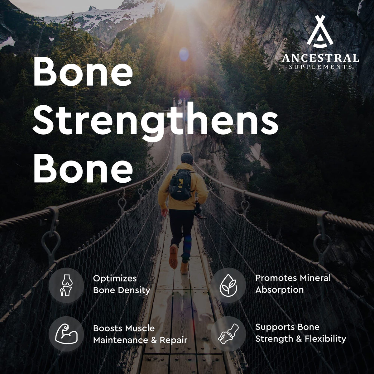 Complément Ancestral Supplements avec étiquette détaillant les ingrédients