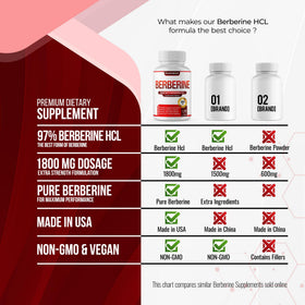 Complément Berbérine 1800mg DECENT NATURE sur un fond naturel