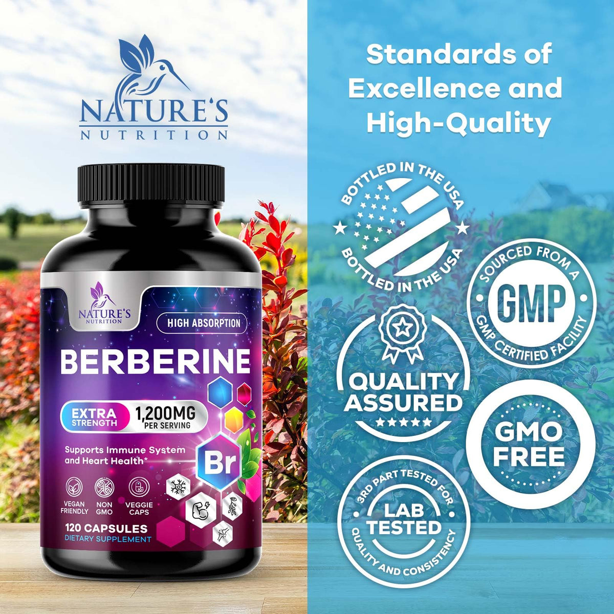 Complément Berberine HCl Nature's Nutrition, vue arrière de l'emballage