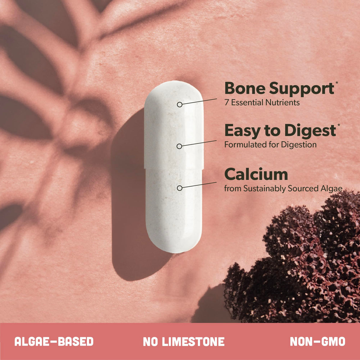 Complément de calcium sapling 600mg bouteille ouverte avec capsules