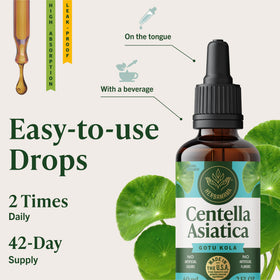 Complément HERBAMAMA Gotu Kola dans un cadre naturel