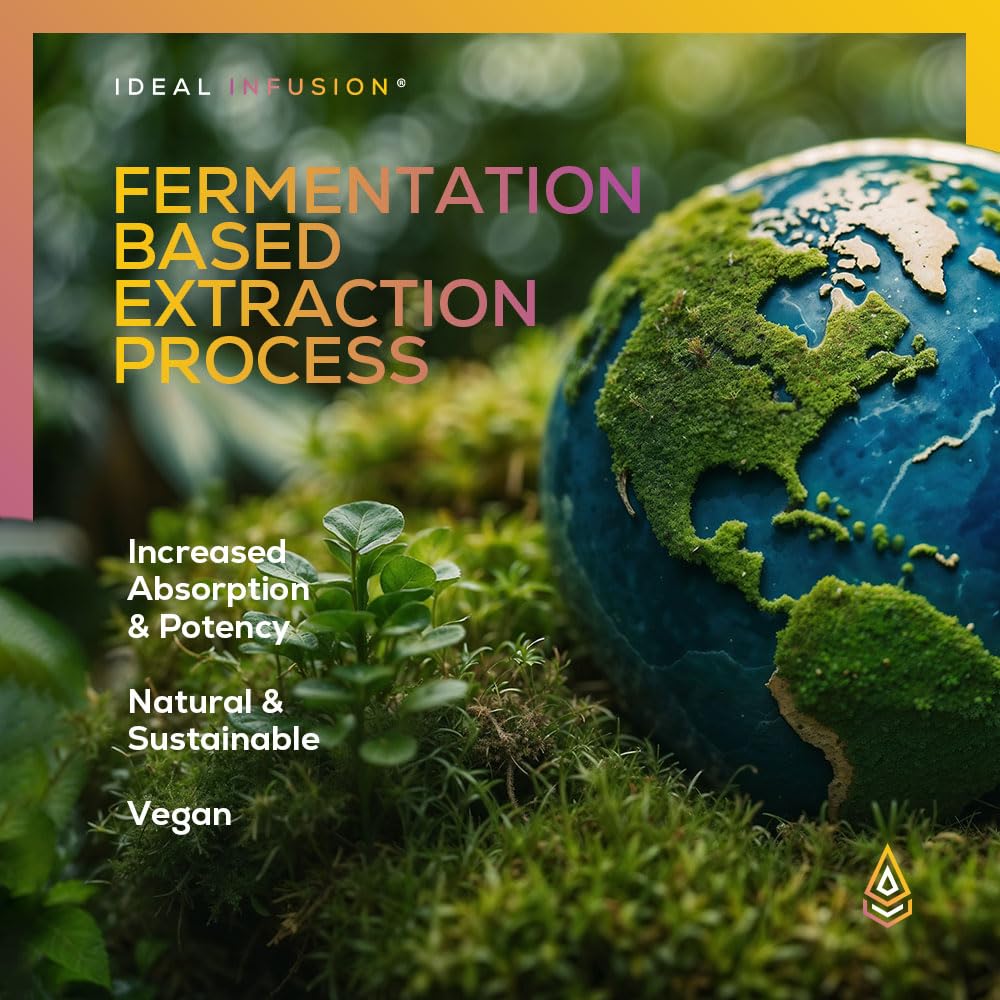 Complément Ideal Infusion L-Ergothioneine, côté montrant la taille du produit