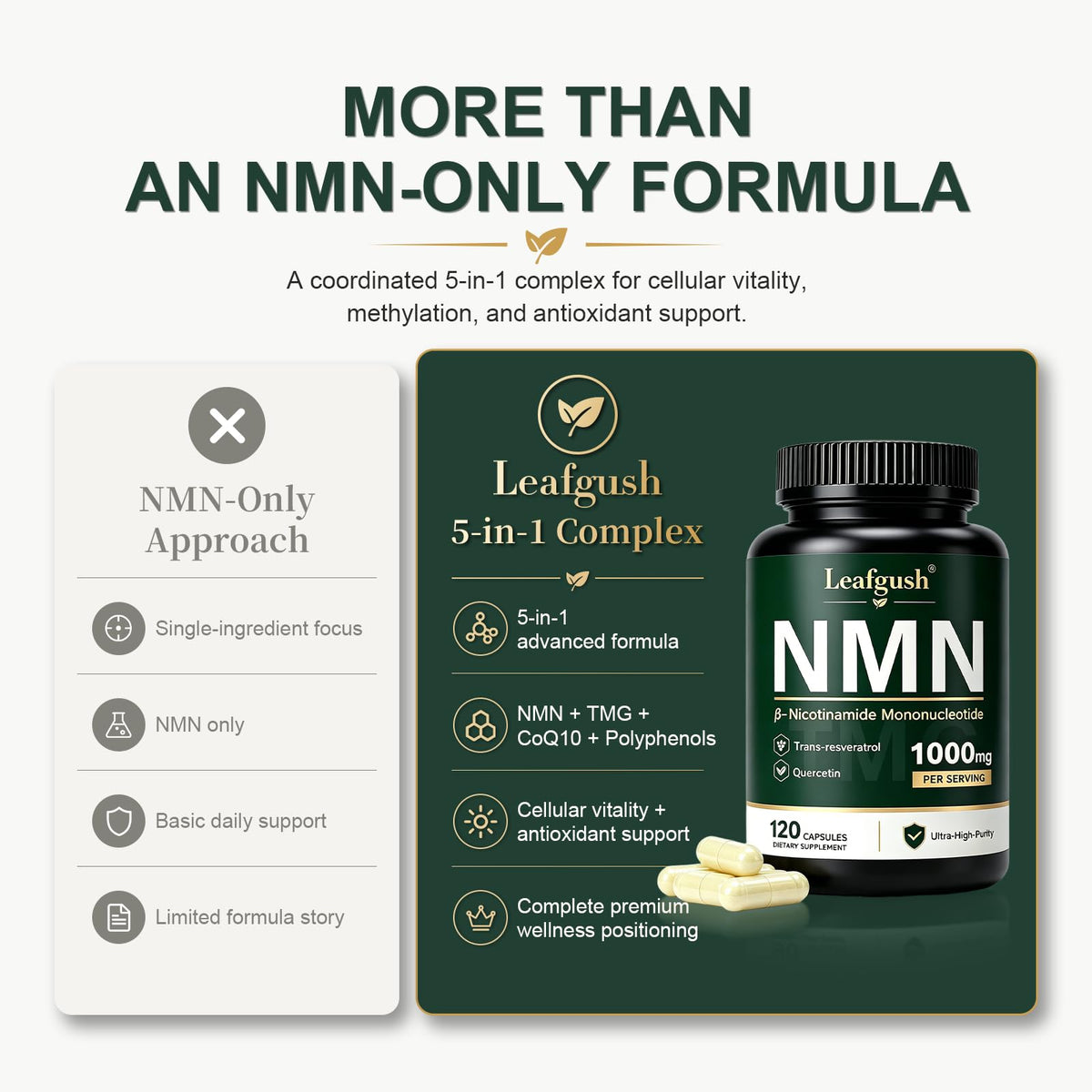 Complément Leafgush NMN 1000mg avec des ingrédients naturels