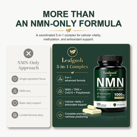Complément Leafgush NMN 1000mg avec des ingrédients naturels