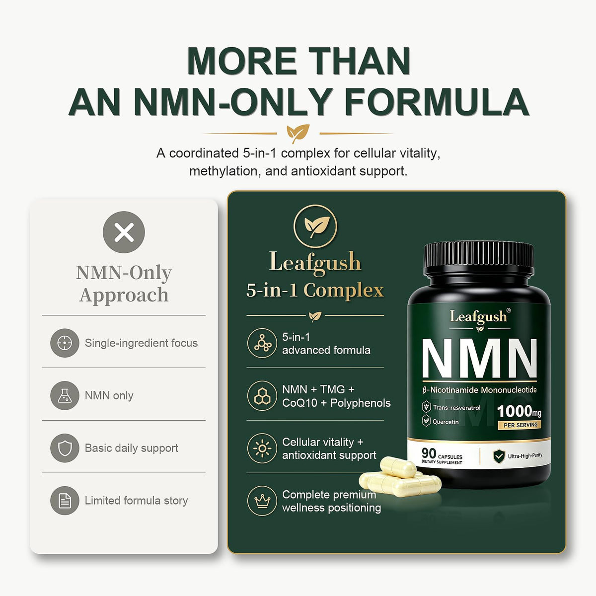 Complément Leafgush NMN 1000mg côté boîte