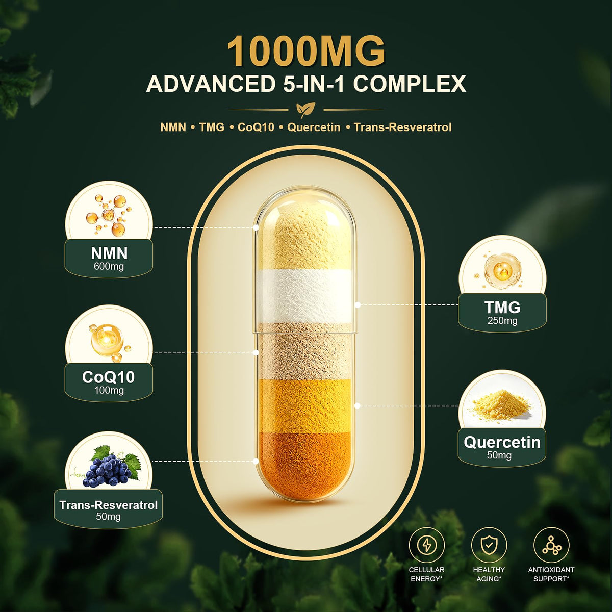 Complément Leafgush NMN 1000mg ingrédients