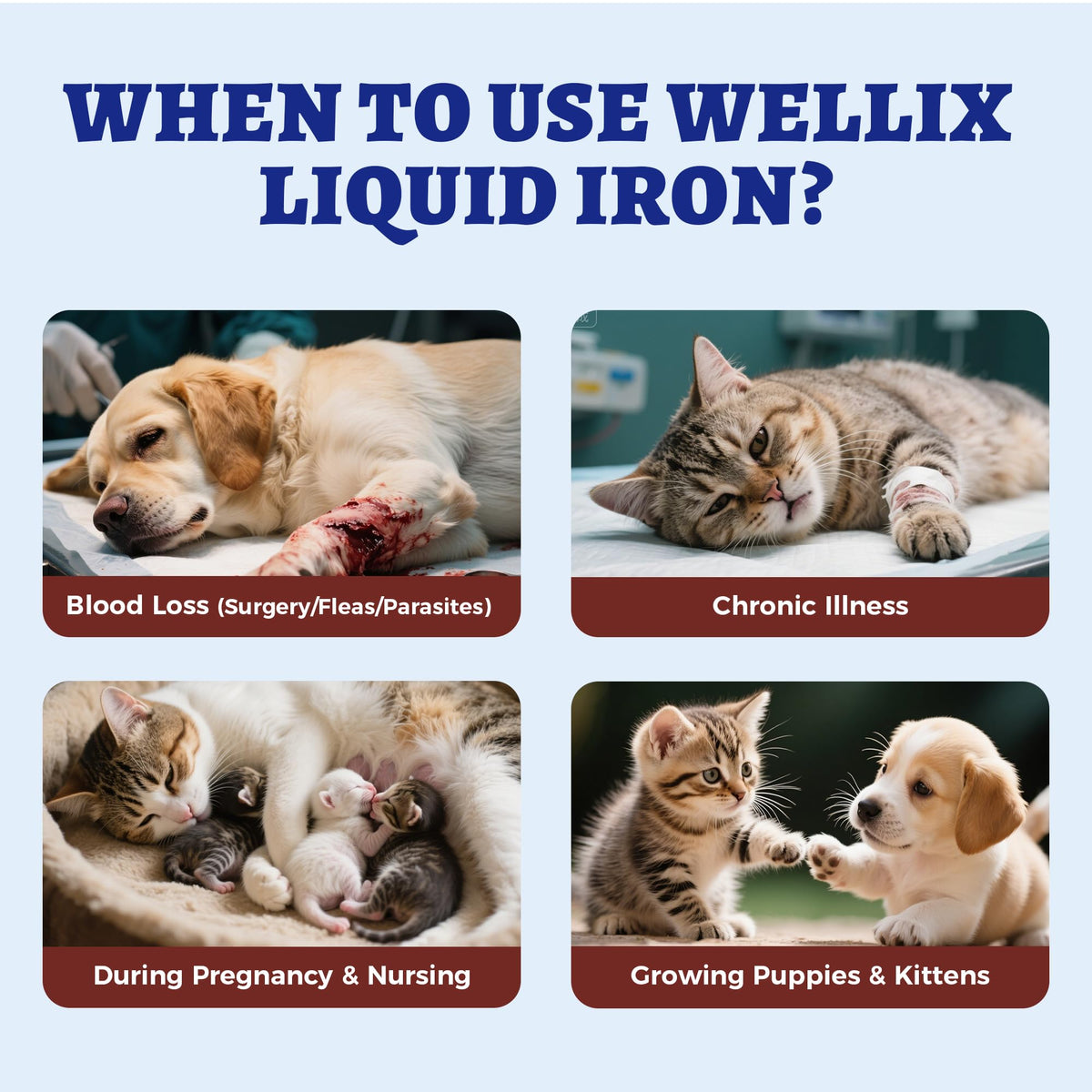 Complément liquide au fer Wellix avec nourriture pour animaux