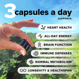 Complément Multivitamines Végétalien 30 Capsules - vue arrière