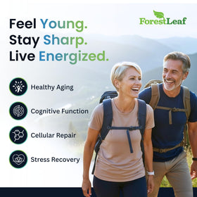 Complément NAD+ ForestLeaf avec capsules