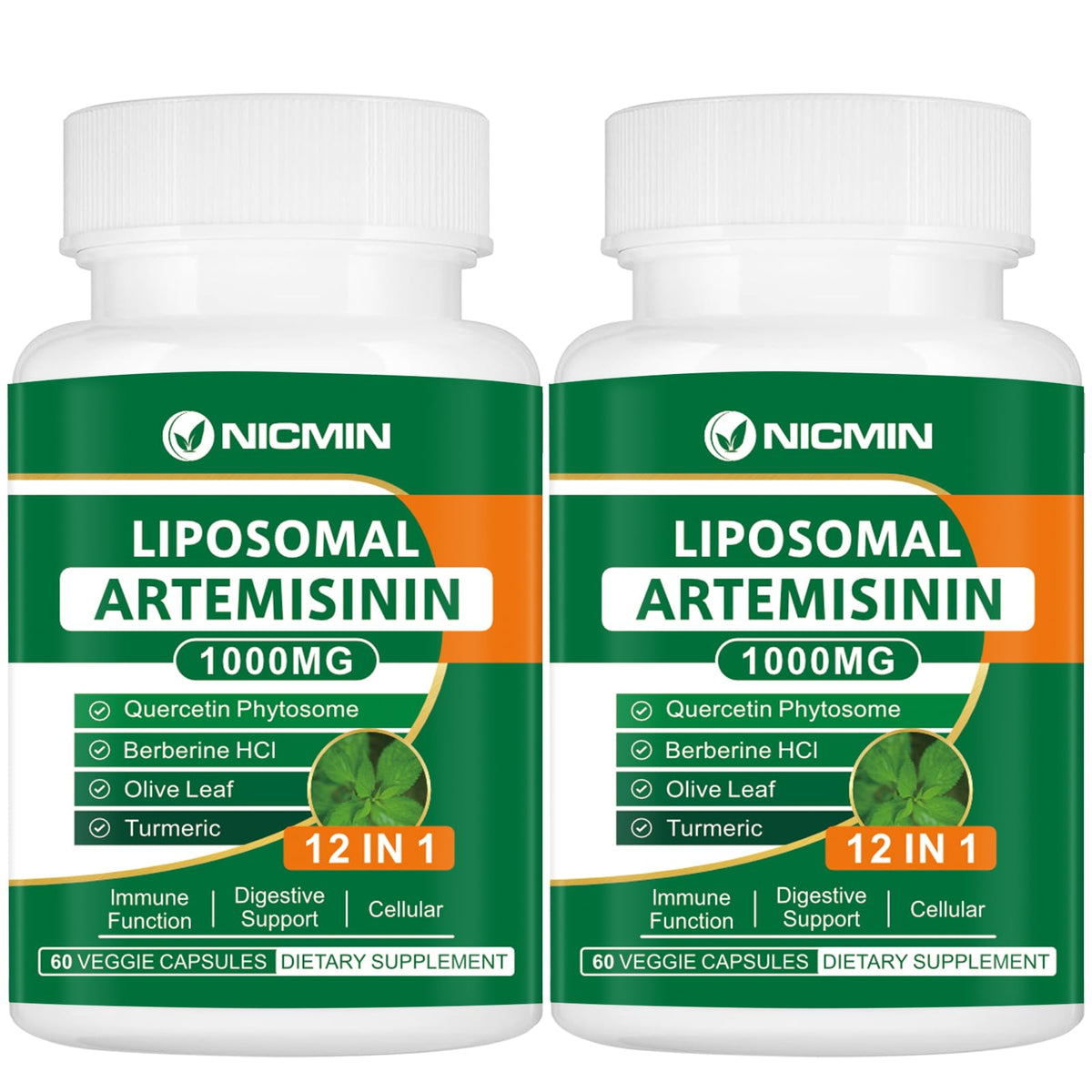 Complément NICMIN Artémisinine Liposomale 1000mg, boîte vue de face