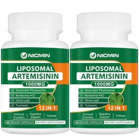Complément NICMIN Artémisinine Liposomale 1000mg, boîte vue de face
