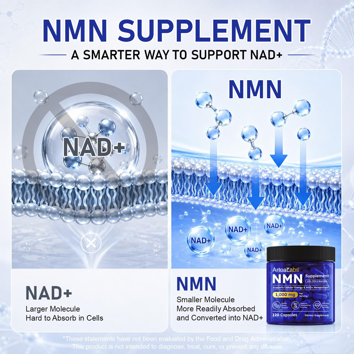 Complément NMN 1000mg artoalabs, flacon ouvert avec capsules