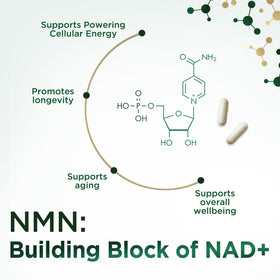 Complément NMN Nature's Nutrition - vue arrière de la bouteille