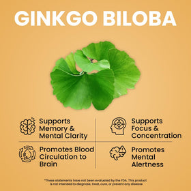 Complément NooMost Champignon Lion 1080mg Ginkgo Biloba dosage