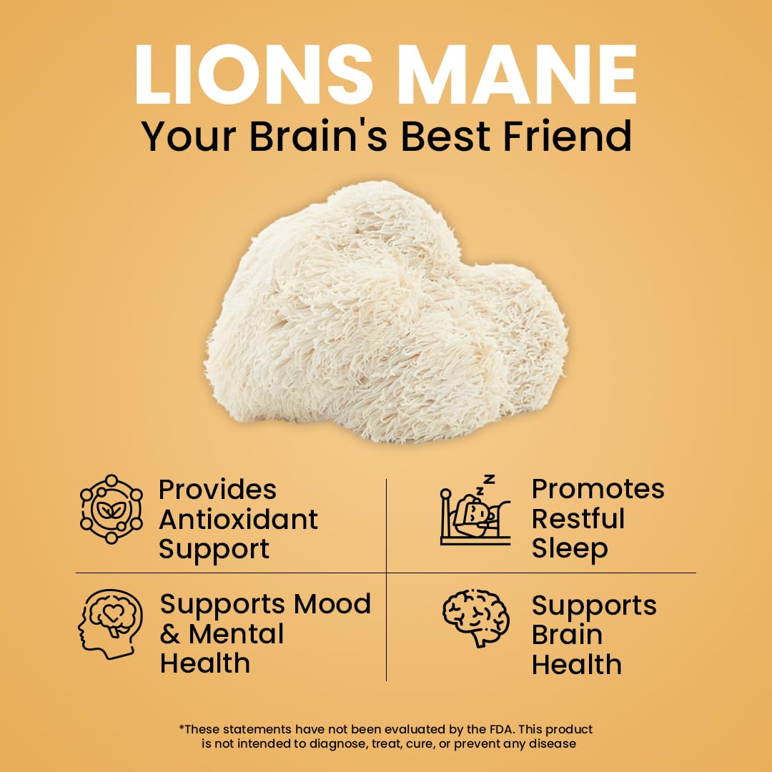 Complément NooMost Champignon Lion 1080mg Ginkgo Biloba ingrédients