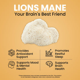 Complément NooMost Champignon Lion 1080mg Ginkgo Biloba ingrédients