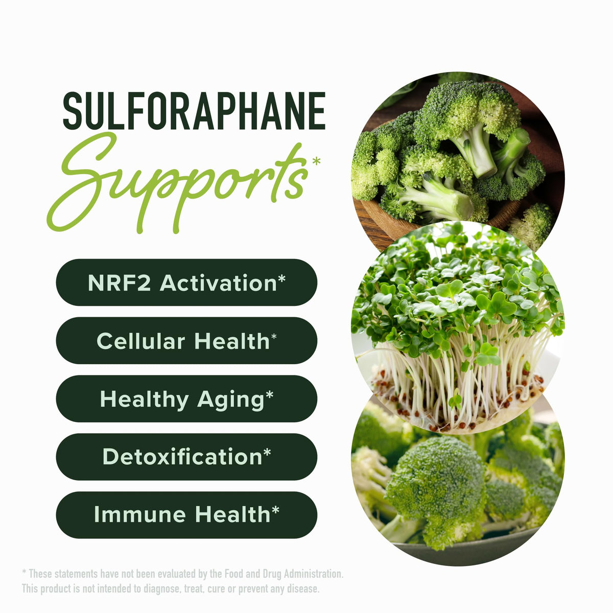 Complément Sulforaphane 50MG SMNutrition, vue arrière de l'emballage
