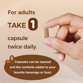 Complexe de Cannelle avec Chrome Vitamin World 120 capsules dans une main