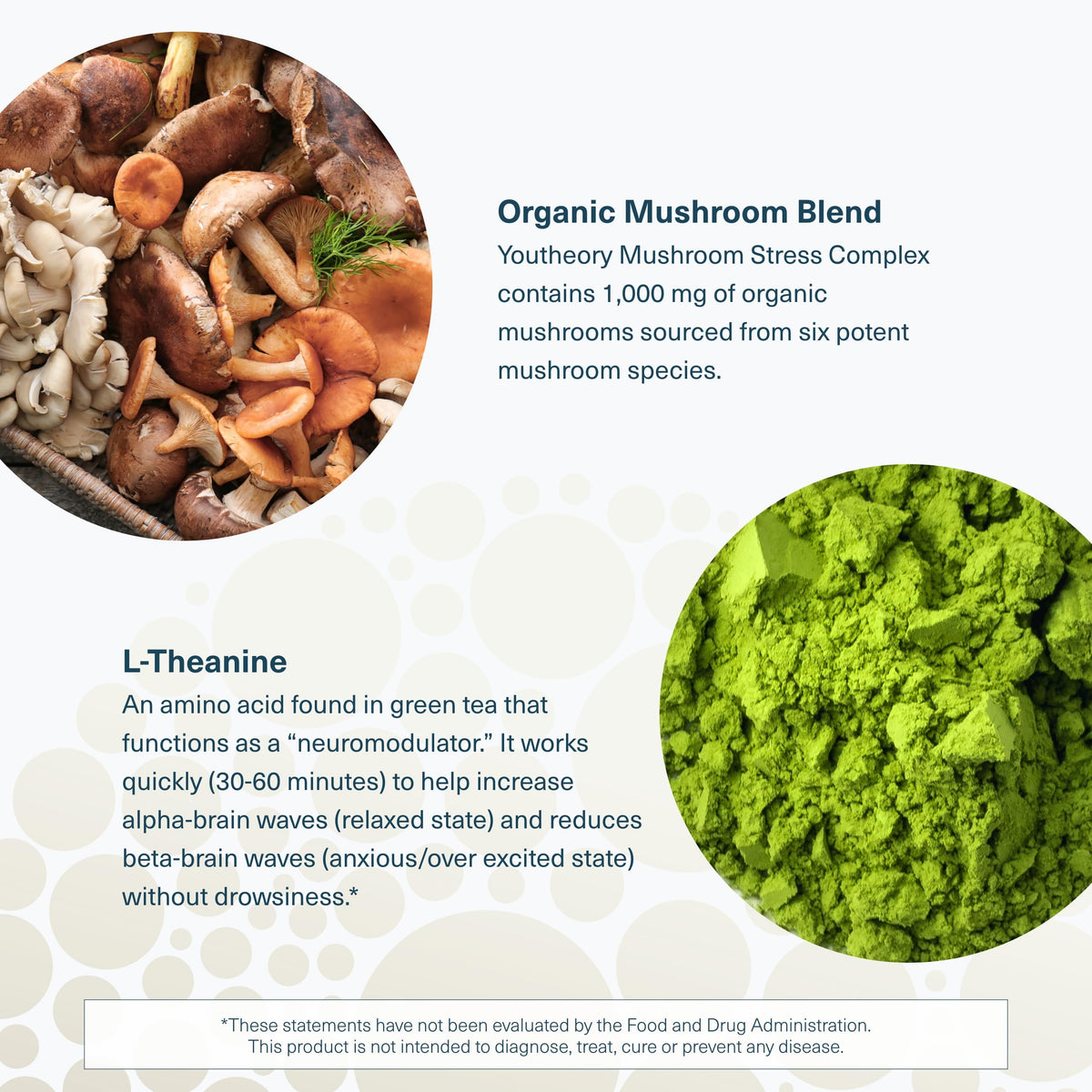 Complexe de Champignons Youtheory avec des champignons en arrière-plan