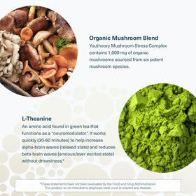 Complexe de Champignons Youtheory avec des champignons en arrière-plan