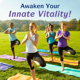 Complexe de Magnésium Innate Vitality sur un fond naturel