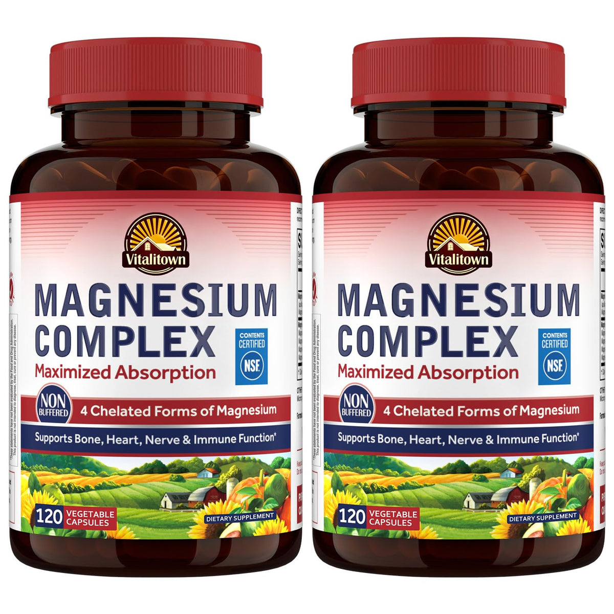 Complexe de Magnésium Vitalitown 500mg 240 capsules vue de face