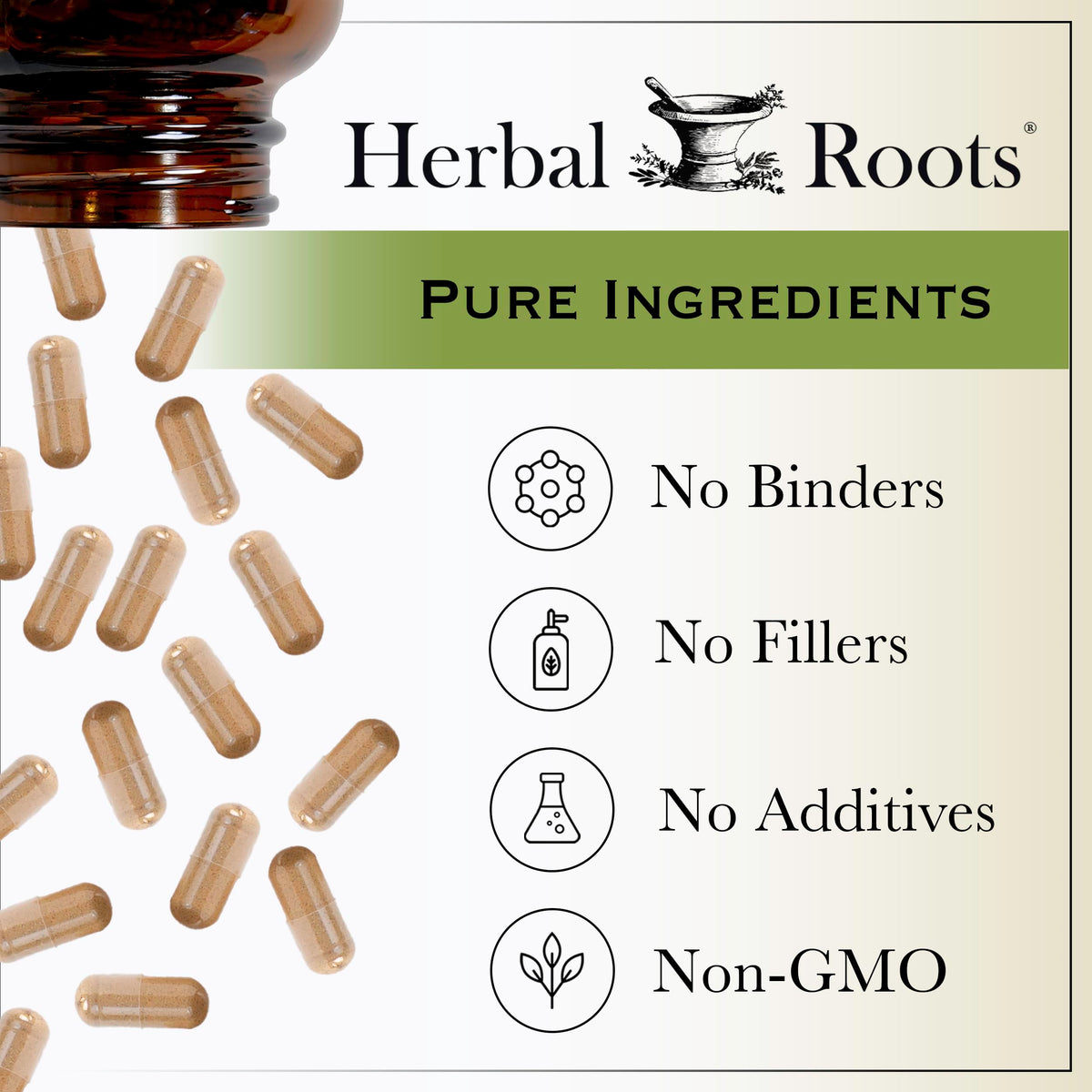 Composition biologique de Gotu Kola Herbal Roots